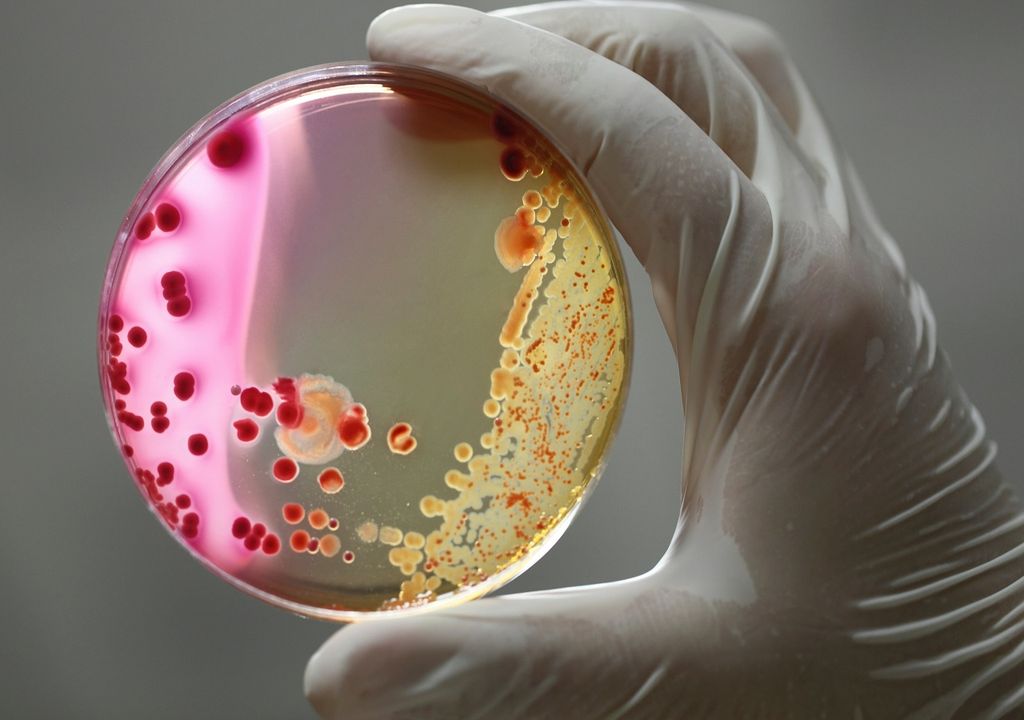 Bacterias, mano con guante plástico