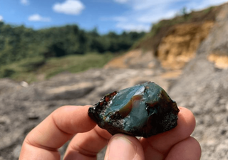 Descubren el mayor depósito de ámbar con insectos preservados desde la era de los dinosaurios en Sudamérica