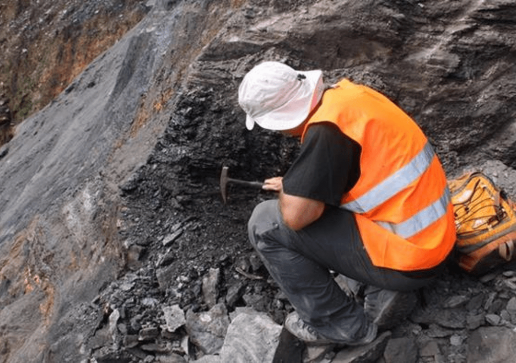 investigador investigador