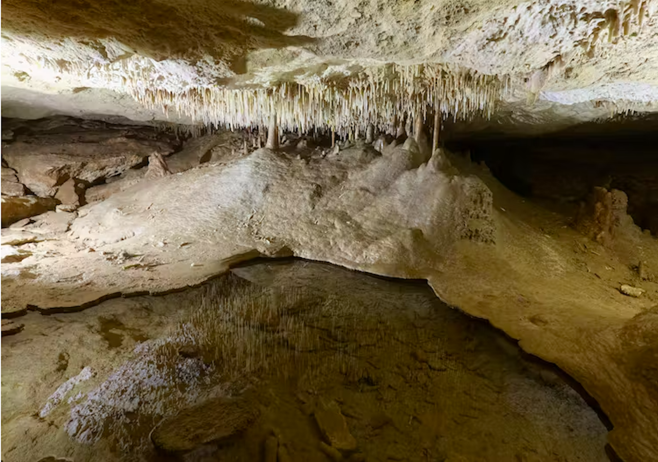 Piscina de cueva que refleja estalactitas de espeleotemas y pajitas de refresco en las cuevas de Naracoorte. Steve Bourne, CC BY-NC-SA