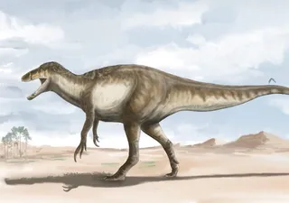 Le fossile géant d'un dinosaure carnivore découvert en Argentine