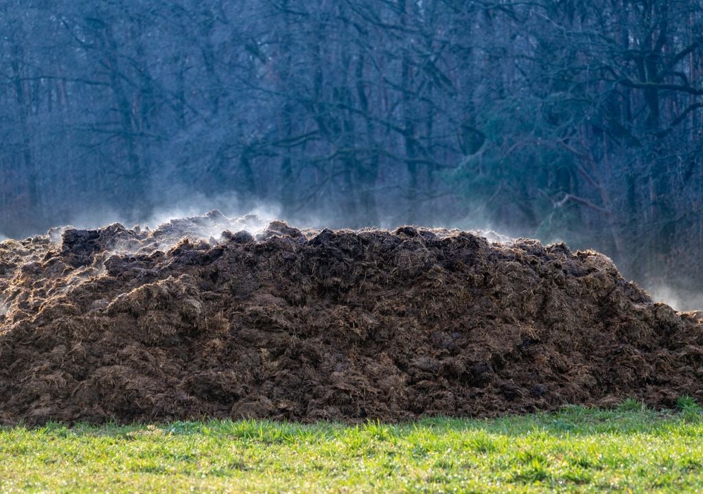 Estiércol de vaca simbolizando la contaminación atmosférica por metano, el gas de efecto invernadero más potente que contribuye al cambio climático.