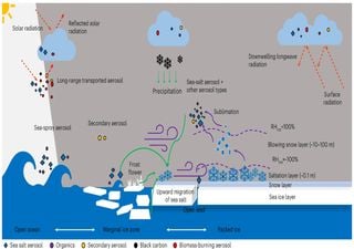 Calentamiento del Ártico: causado también por aerosoles de sal marina provenientes de ventiscas de nieve