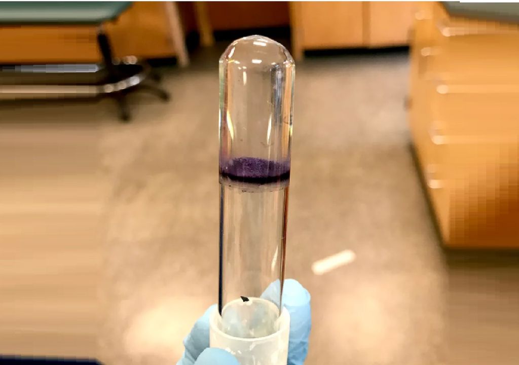bacteria Janthinobacterium violeta en tubo de ensayo bacteria Janthinobacterium violeta en tubo de ensayo