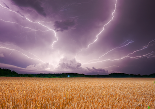 Desde junio hasta agosto: revelamos las primeras tendencias para el verano en Espa&ntilde;a