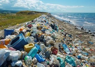 Crean un moderno método de detección de desechos plásticos en las playas: un mapeado desde el espacio