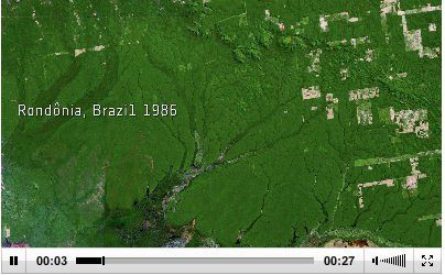 Desforestación De La Amazonía