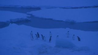 Deshielo en el invierno helador antártico: descubrimiento sorprendente