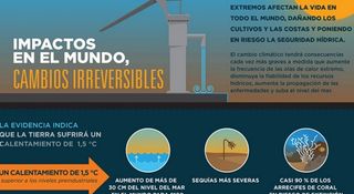 Deshielo, olas de calor, sequías, inundaciones: ¿Cómo hacer frente a la nueva realidad climática?