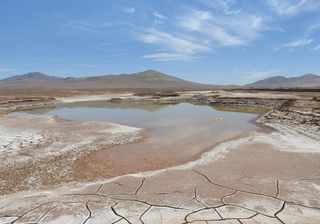 Desierto de Atacama: muerte por exceso de agua