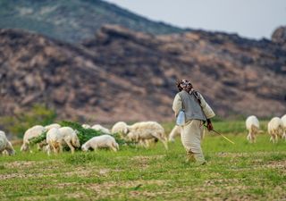 Desiertos más verdes: ¿qué impactos se pueden generar sobre el clima y la economía de un país?