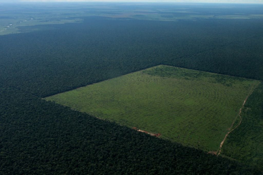 Sul da Amazônia vem sofrendo com desmatamento e aumento de temperaturas. Crédito: Divulgação Blog Marcos Pedlowski Sul da Amazônia vem sofrendo com desmatamento e aumento de temperaturas. Crédito: Divulgação Blog Marcos Pedlowski