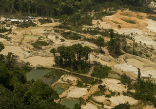 Desmatamento avança novamente na Terra Indígena Munduruku e ameaça floresta amazônica no Pará