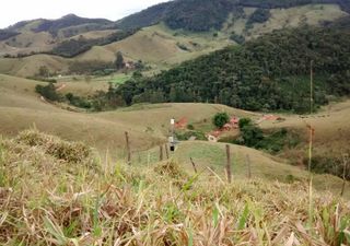 Desmatamento e aumento de temperatura na Mata Atlântica