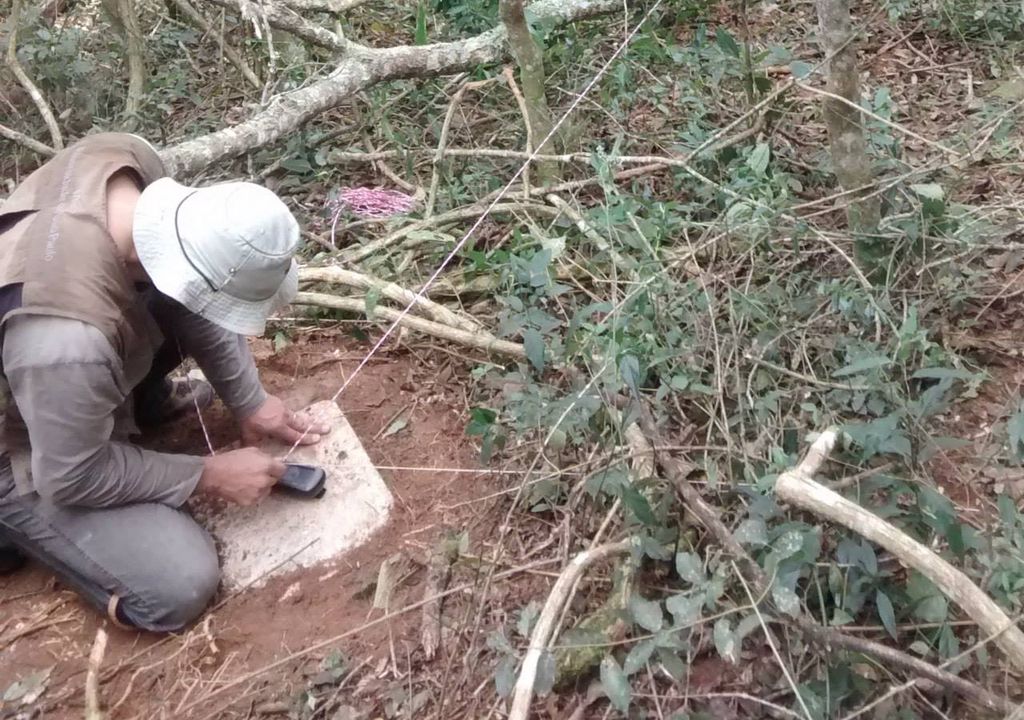 Cientísta trabalhando Cientísta trabalhando