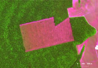 Desmatamento na Amazônia brasileira cai 7%, mas degradação florestal aumenta 497% em 2024