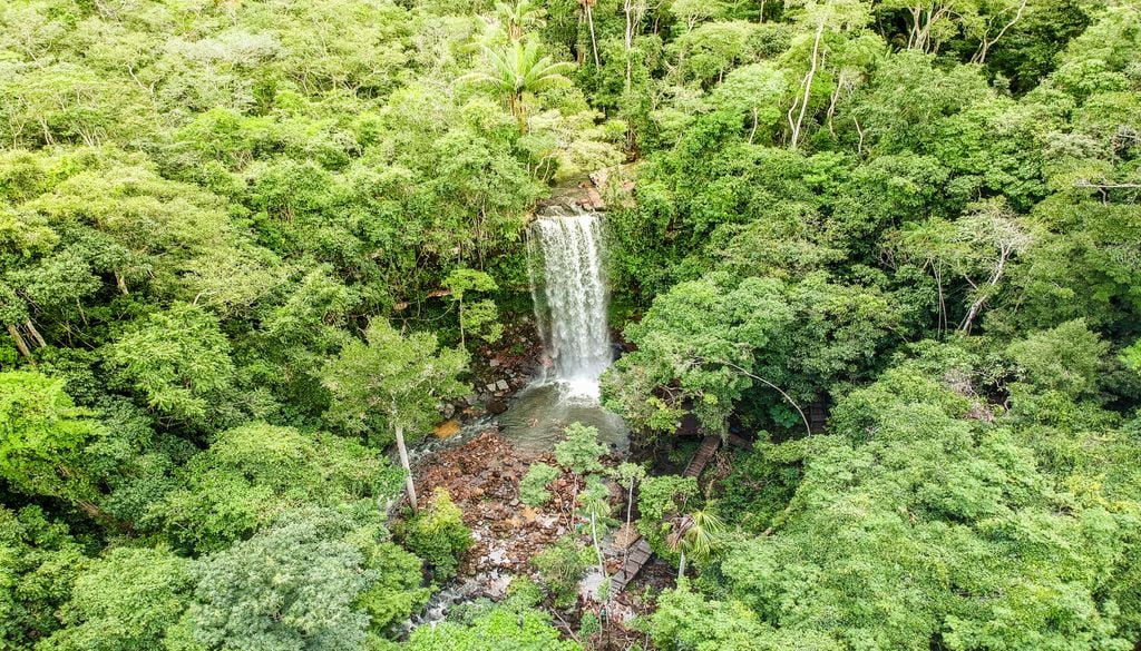 floresta, amazonas, Rondônia Ventos fracos mantêm a precipitação sobre áreas desmatadas na estação seca, enquanto a monção transporta a umidade para florestas vizinhas