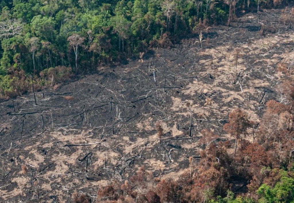 Área de mata na região amazônica com trecho impactado pelo desmatamento (Vinícius Mendonça/Ibama)