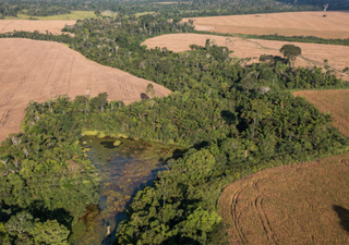 Desmatamento na Amazônia cresce pelo 5º mês seguido, com o Pará liderando o ranking de degradação