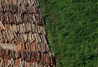 Desmatamento na Amazônia dispara em maio com alta de 91% e acende alerta sobre avanço das mudanças climáticas