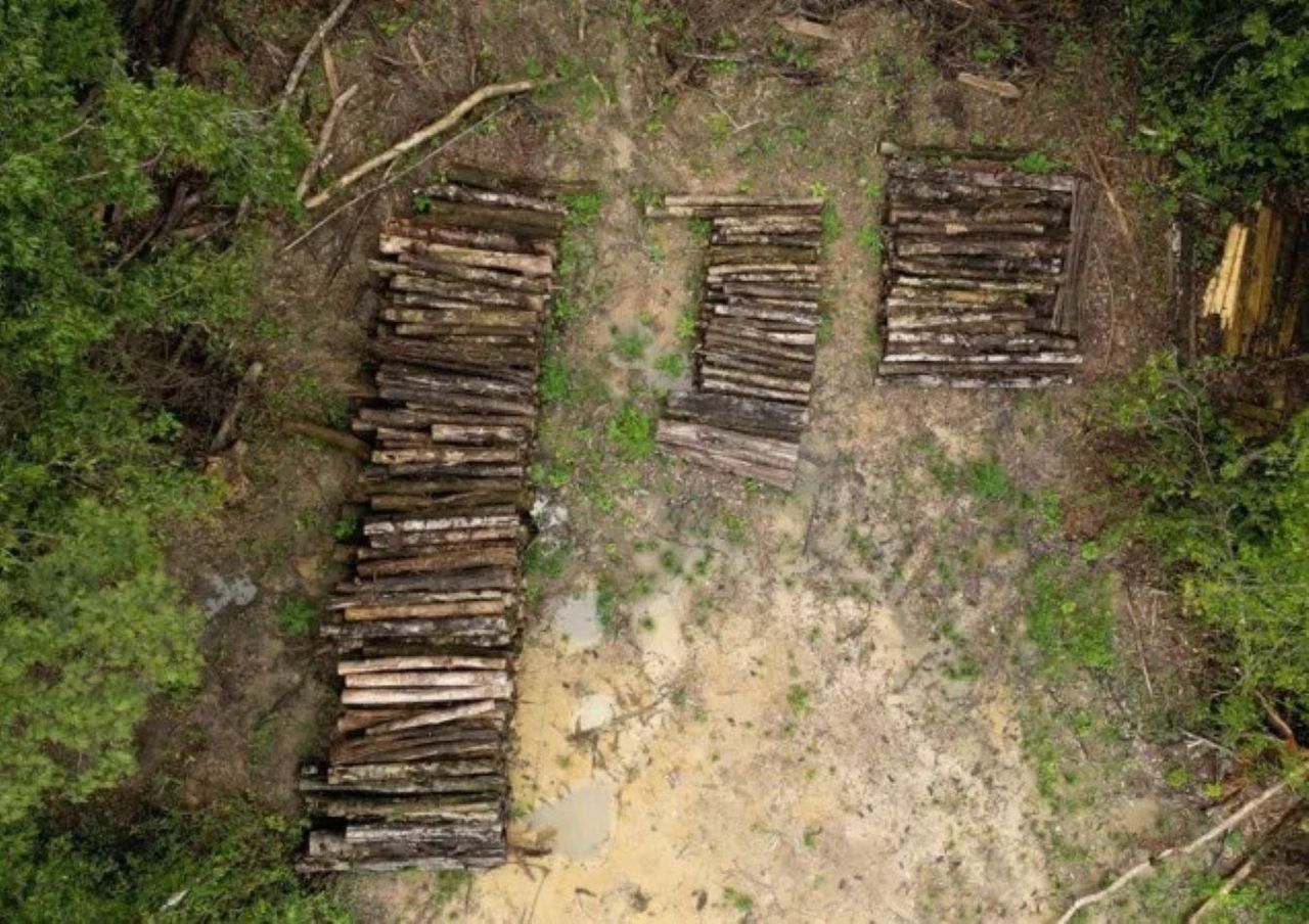 Talan selva amazónica para construir carretera a cumbre climática. Crédito: Paulo Koba/BBC