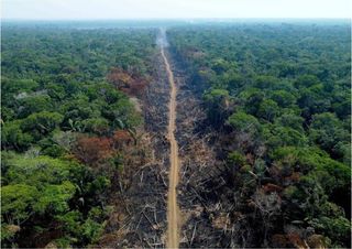 Desmatamento na Amazônia provoca forte aquecimento até em regiões distantes