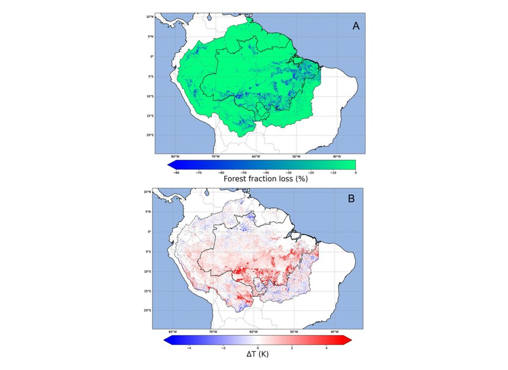 amazônia desflorestamento