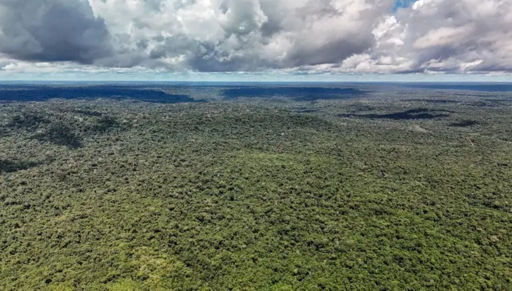 Floresta Nacional do Tapajós, Belterra, Pará. | Crédito: Rafa Neddermeyer/Agência Brasil Floresta Nacional do Tapajós, Belterra, Pará. Crédito: Rafa Neddermeyer/Agência Brasil