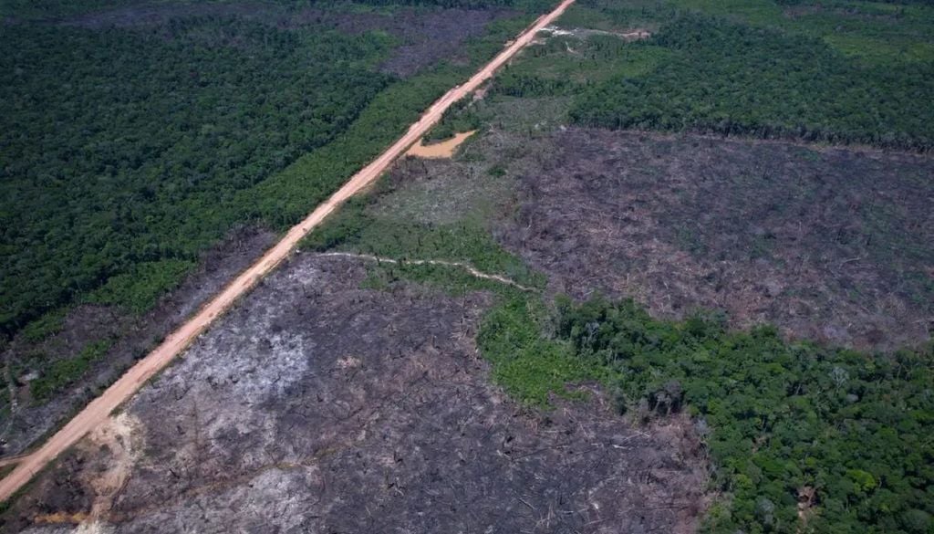 Dados do Inpe mostram redução dos alertas de perda de vegetação no bioma no mês do Dia do Cerrado. Crédito: Marcelo Brandão Dados do Inpe mostram redução dos alertas de perda de vegetação no bioma no mês do Dia do Cerrado. Crédito: Marcelo Brandão