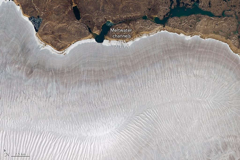 En esta imagen del 12 de julio de 2026, tomada por el sensor OLI (Operational Land Imager) del satélite Landsat 9, se observan canales de agua de deshielo que atraviesan la superficie del lado noreste del casquete glaciar Barnes, y muchos de estos canales llegan hasta el borde del hielo. NASA Earth Observatory/Lauren Dauphin