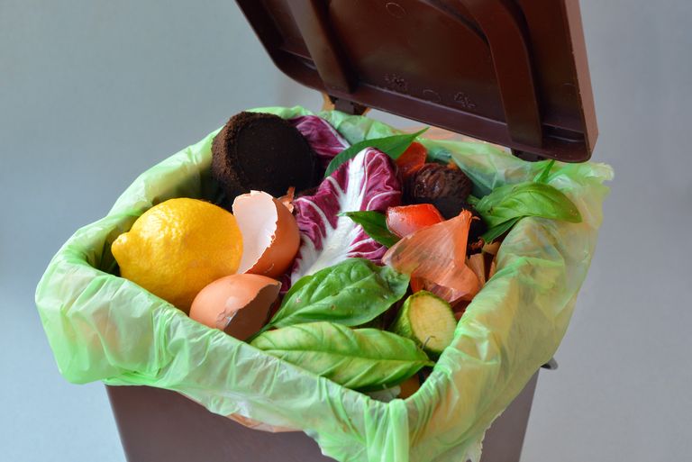 Desperdicio alimentario, mucho más que tirar comida. ¿Cómo evitarlo? Desperdicio alimentario, mucho más que tirar comida. ¿Cómo evitarlo?