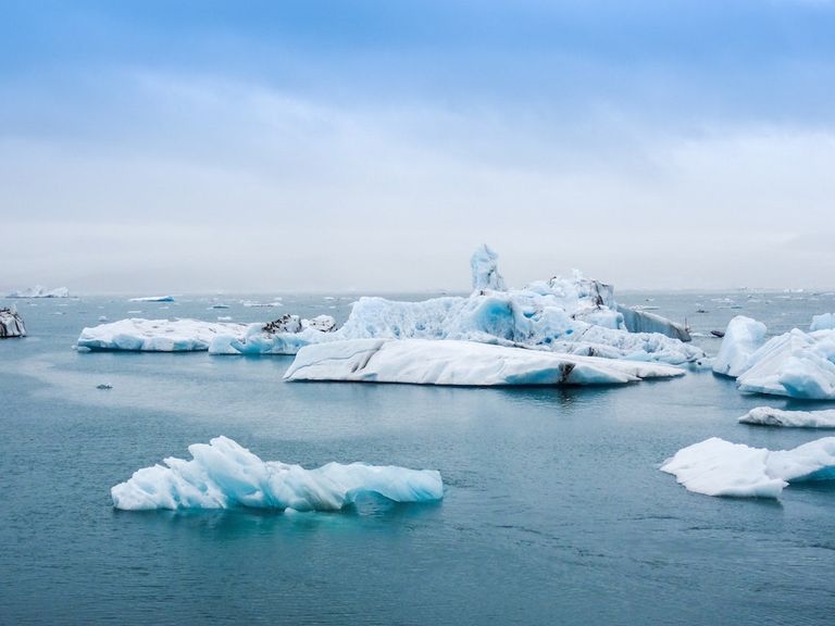 Cambio climático, climate change, Ártico, Arctic, abril, calentamiento global, global warming, oso polar, bear polar Cambio climático, climate change, Ártico, Arctic, abril, calentamiento global, global warming, oso polar, bear polar