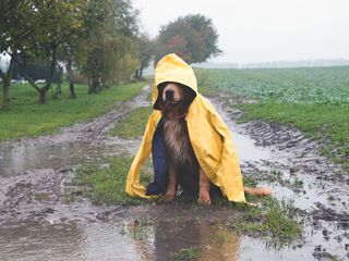 Después de estos días otoñales, ¿volverá el calor?