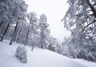 Llegan las nevadas históricas, después el hielo tomará la Península