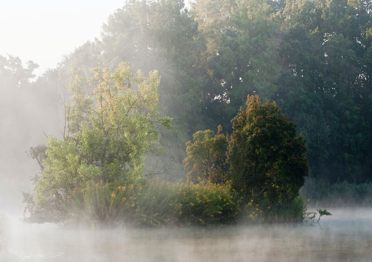 Neblina, Niebla, Temperatura, Otoño, Frio, Lluvia Neblina, Niebla, Temperatura, Otoño, Frio, Lluvia