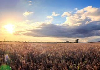 Destaques para março: chuvas irregulares e frio chegando mais cedo