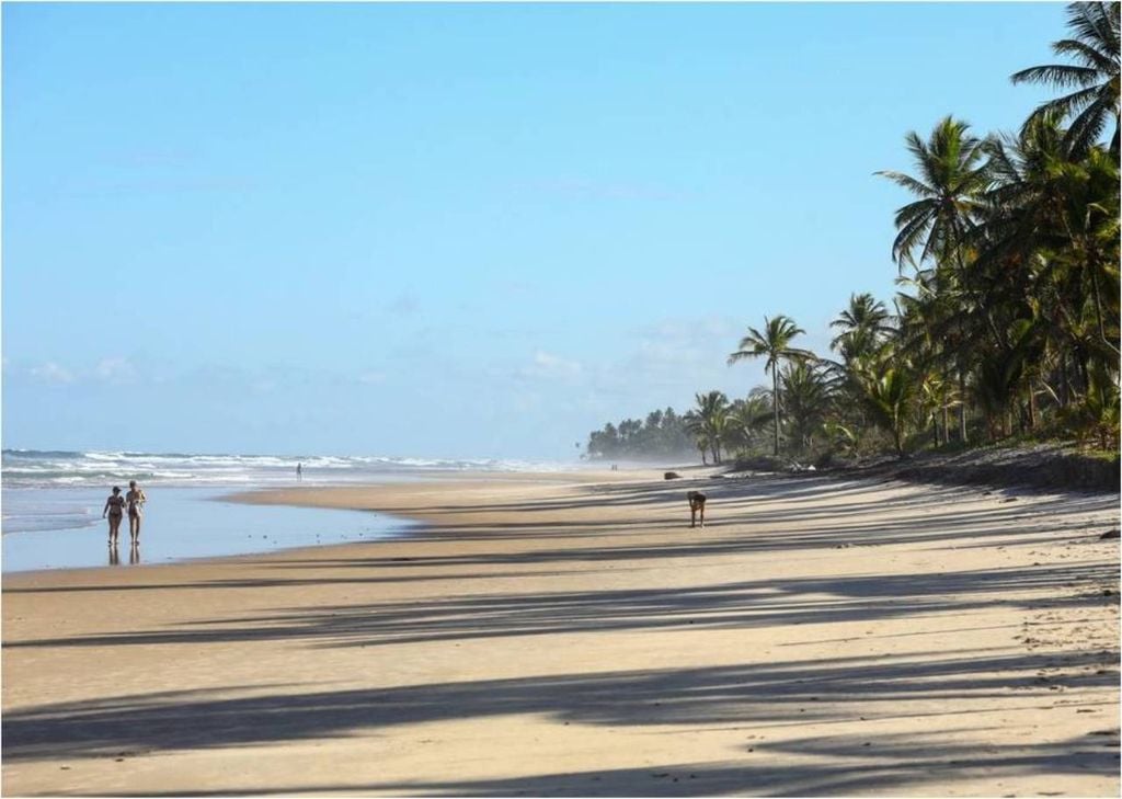 Praia de Itacarezinho, em Itacaré, Bahia. Crédito: Divulgação.