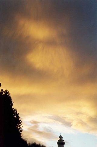 Detalles de un atardecer en Euskadi