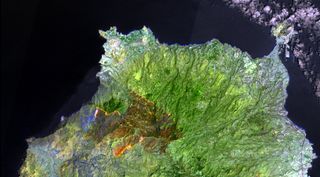 Detalles sin precedentes del incendio forestal en Gran Canaria