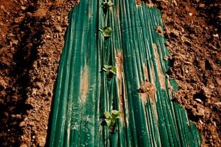 Teledetección de plástico en la agricultura: un avance revolucionario para el medio ambiente