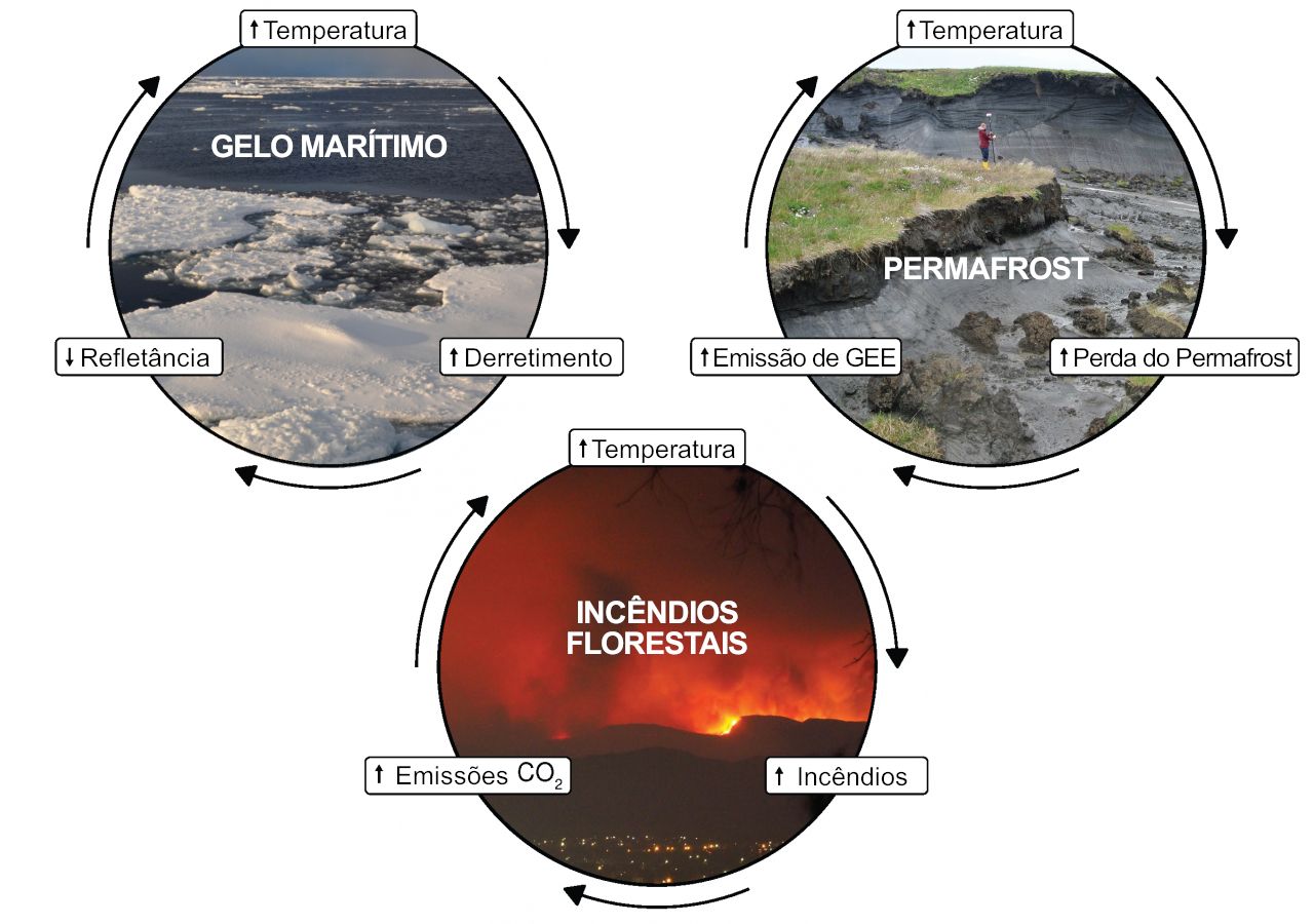 Aquecimento Global e Mudanças Climáticas: Desvendando os Impactos