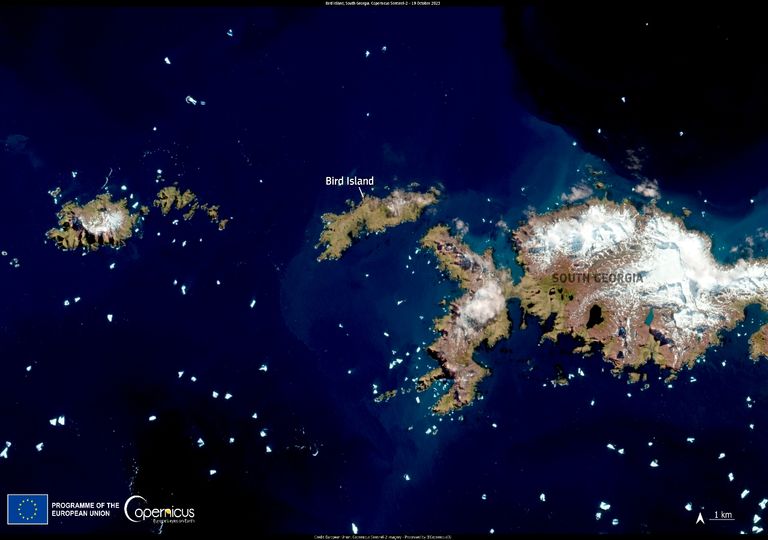 mapa de brotes de gripe 2023