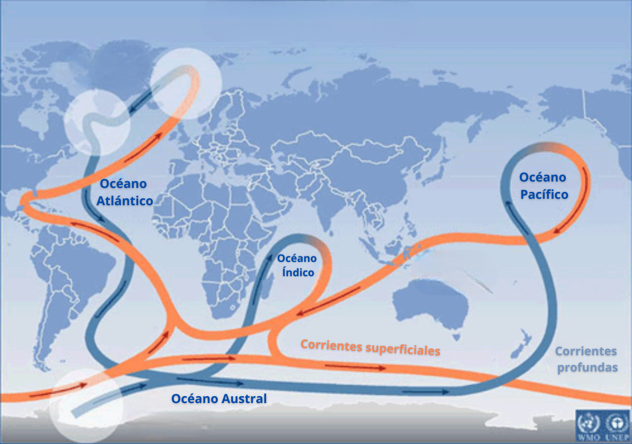 Esquema simplificado de la Circulación Meridional Oceánica, o gran cinta transportadora de los océanos. Imagen tomada de NOAA
