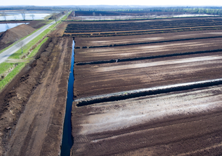 Deutsche Hobbygärtner aufgepasst: Bundesregierung fordert Torf-Verzicht im Garten bis 2026!