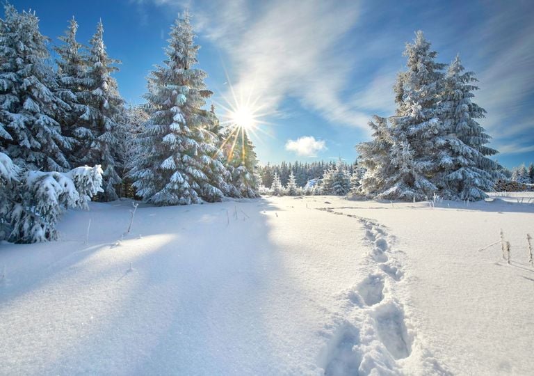 Wetterprognose: Wird der Dezember in Deutschland zum Eiskeller? Wetterprognose: Wird der Dezember in Deutschland zum Eiskeller?