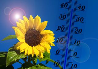 Heiß und trocken? So wird der Juli in Deutschland!