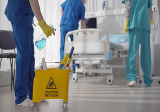 Deutschland unterschätzt tödlichen Klinik-Pilz: Candidozyma auris breitet sich ungebremst aus