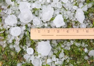 Gruselige Wetterprognose für Deutschland: Die Meteored-Wetterkarten zeigen einen nassen Sommerstart!