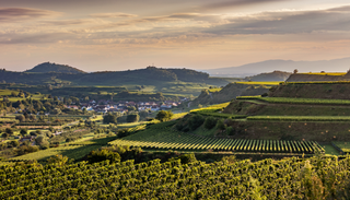 Deutschlands Sonnenparadies kennt keine Sommerpause: Am Kaiserstuhl steigen die Temperaturen jetzt noch weiter