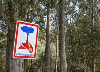 Deux journées de grand danger : quels sont les départements en alerte maximale pour feux de forêt ?